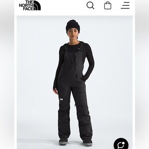 The North Face Black Freedom Insulated Bibs (women)